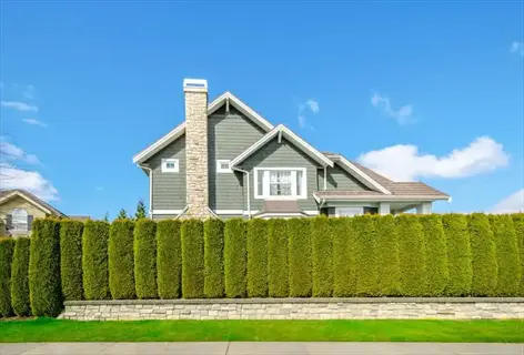 house behind a hedge of italian cypress columns under a blue sky