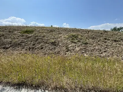 sparse creeping juniper slope under a clear blue sky