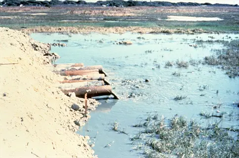 water hyacinth wastewater pond with pipes draining into shallow water and aquatic vegetation